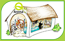 Q-Arena